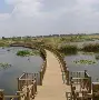 滇池鲸鲨队鏖战北城黑豹队，拉力赛附加赛爆冷，转换速度占优。争冠格局再洗牌